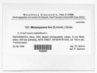 Melampsora lini image
